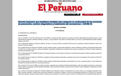 Decreto Supremo Nº 013-2020-SA